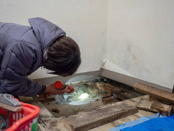 Best Environmental Consulting for Mold Prevention  in Caldwell, OH