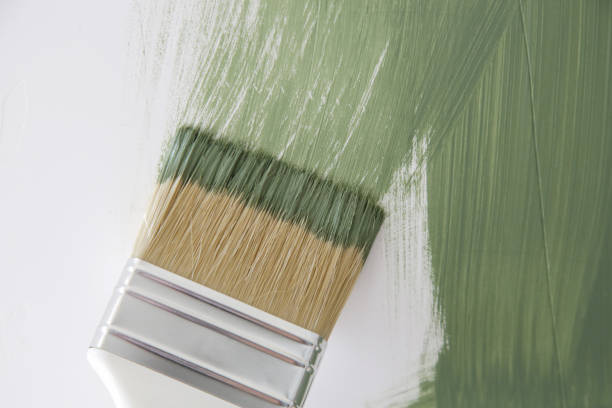 Best Mold Removal for HVAC Installations  in Caldwell, OH