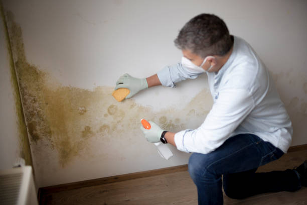 Best Air Quality Testing for Mold Spores  in Caldwell, OH
