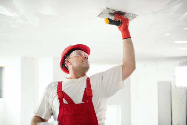 Best Black Mold Removal  in Caldwell, OH