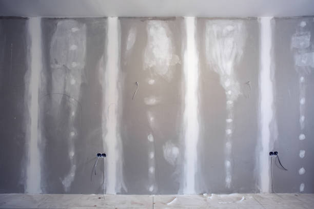 Best Mold Damage Restoration  in Caldwell, OH